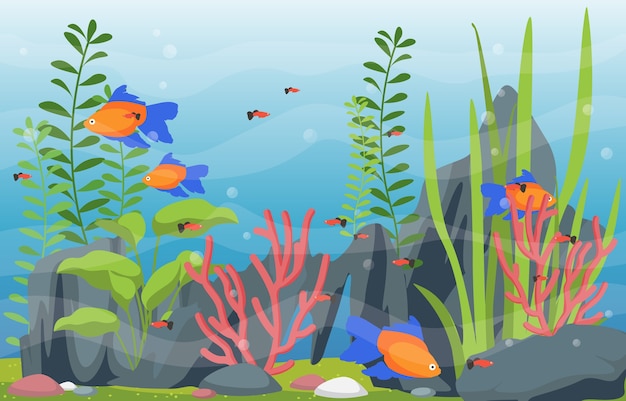 Prachtige aquariumvissen kleurrijke reef water plant illustratie