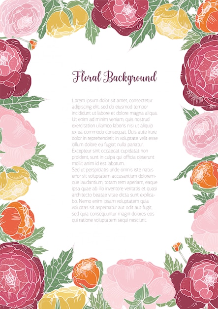 Prachtige bloemen achtergrond met kleurrijke bloeiende ranonkels en plaats voor tekst in het midden. frame bestond uit elegante tuinbloemen en bladeren