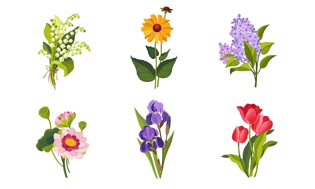 Prachtige bloemen Lily of the Valley Lilac Iris Tulip Vector illustratie op witte achtergrond