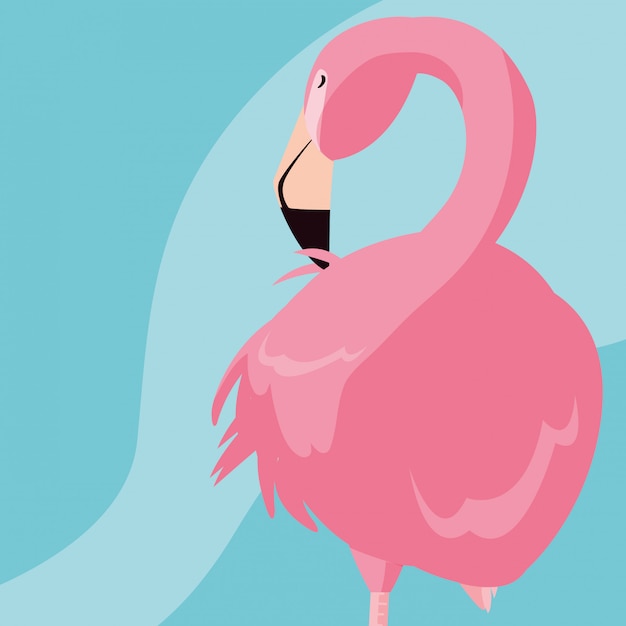 Prachtige flamingo vogelstand