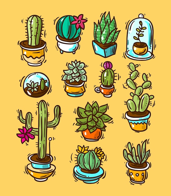 Prachtige handgetekende vectorillustratie cactussen en vetplanten doodle-stijl