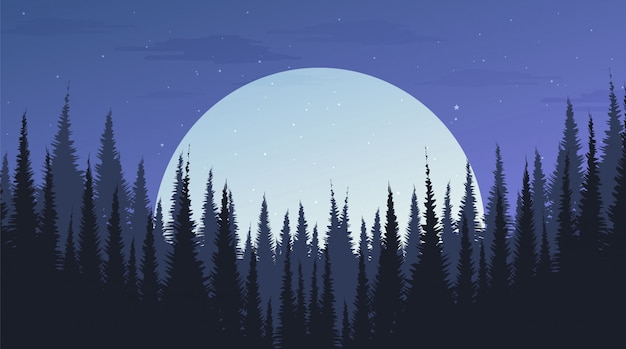 Prachtige nacht dennenbos met de maan, landschap-achtergrond, avond concept