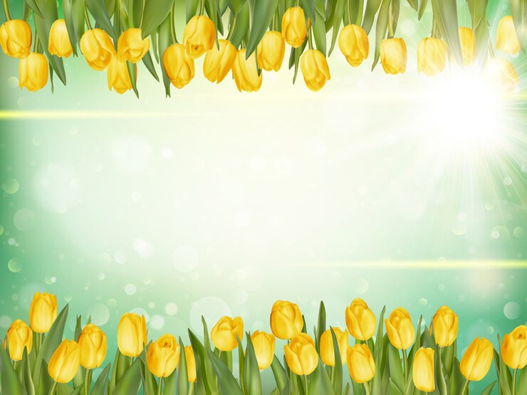 Vector prachtige tulpen.