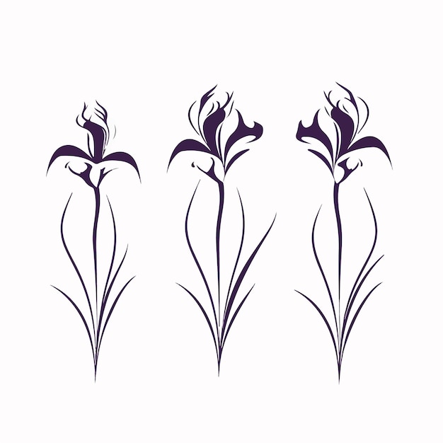 Prachtige vectorillustratie van een iris