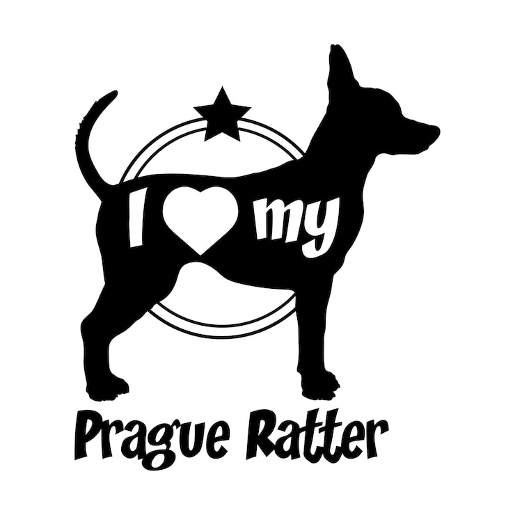 Vector prague ratter dog silhouette dog breeds animals pet breeds silhouette
