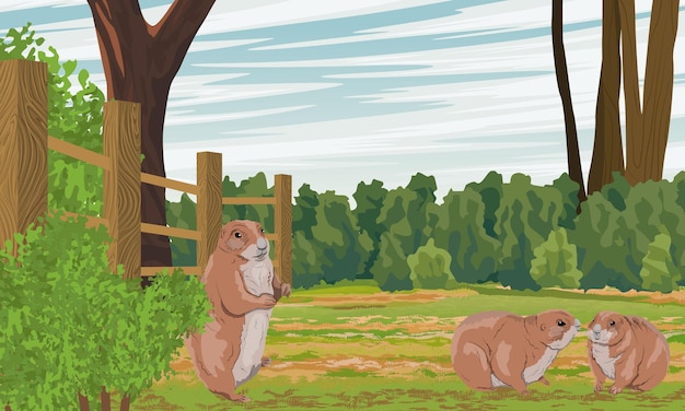 Prairiehonden in een groene weide in de buurt van hoge bomen, houten omheining en struik