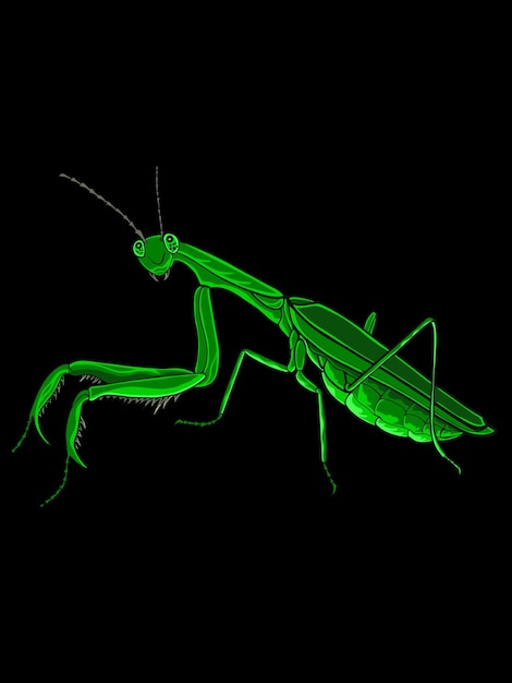 praying mantis vector design