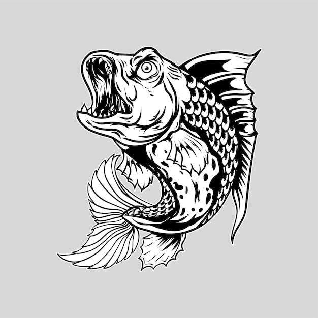 Predator fish illustration