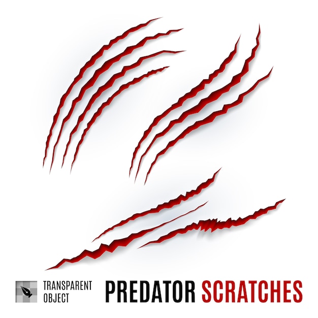 Predator scratches