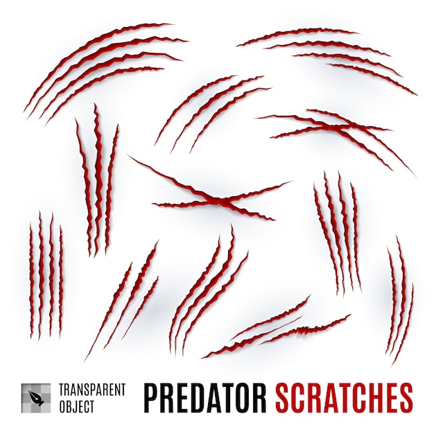 Vector predator scratches