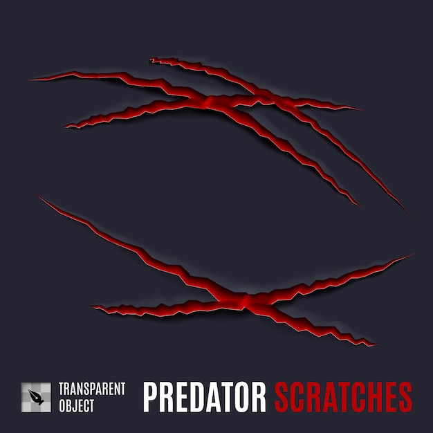 Predator scratches