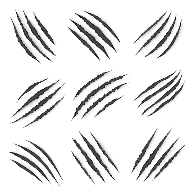 Predator wild animal claw marks vector scratches