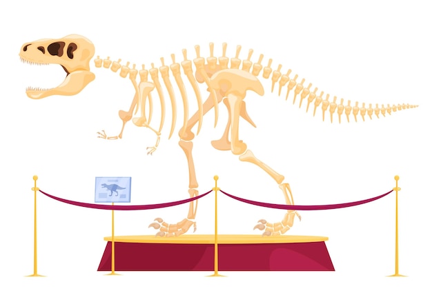 Scheletro di dinosauro predatore su un piedistallo nel museo scheletro di carnivori ed erbivori afta epizootica