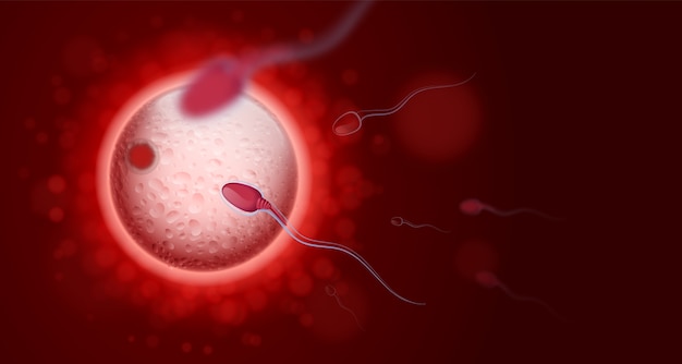 pregnancy background in realistic style