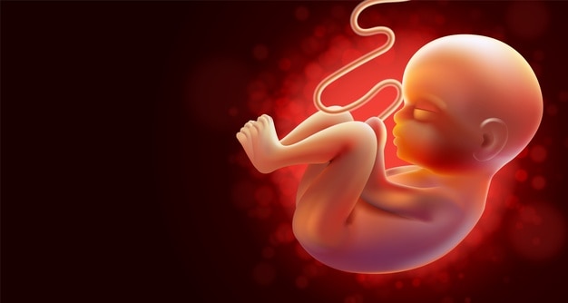 Pregnancy background in realistic style