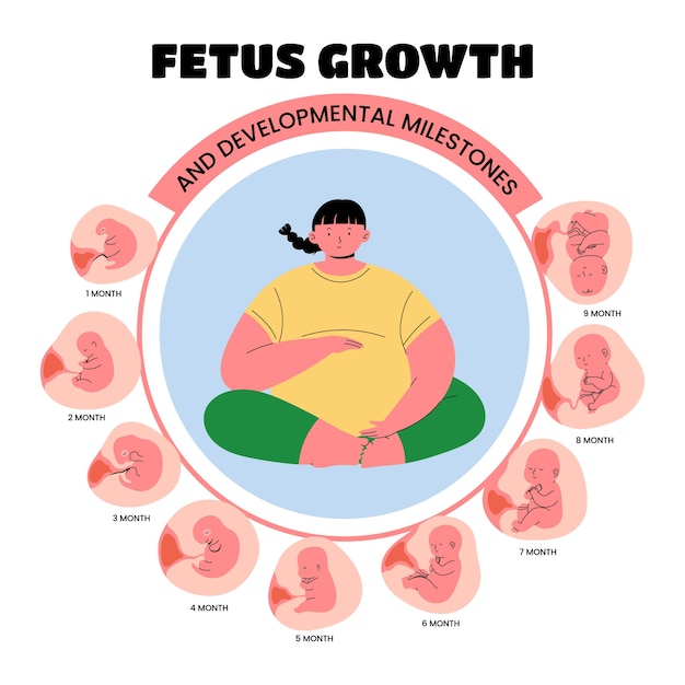 Pregnancy hand drawn flat infographics