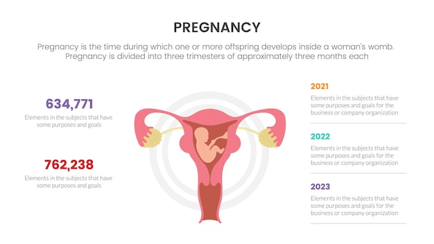 난소와 임신한 아기가 있는 3점 목록 데이터 정보가 포함된 슬라이드 프레젠테이션을 위한 임신 인포그래픽 개념