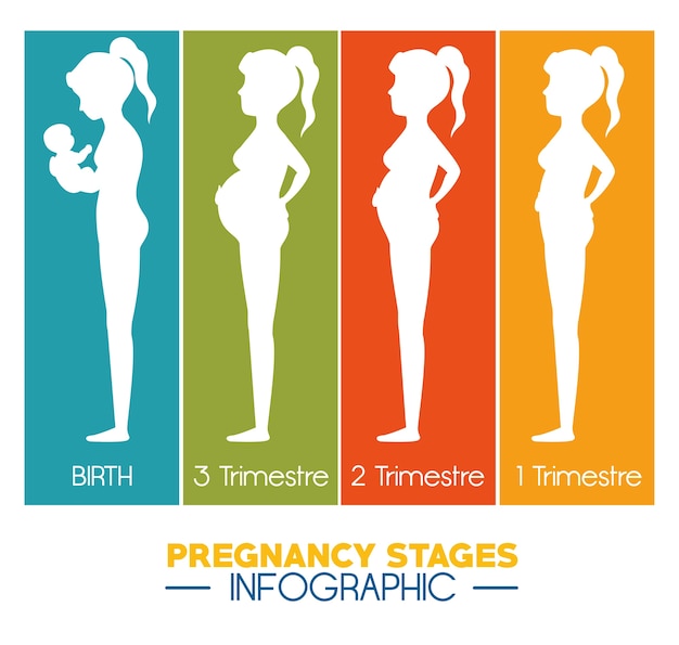 Pregnancy and maternity infograhic