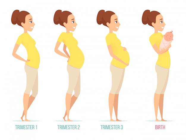 Pregnancy stages, Happy mom with newborn child female pregnancy trimesters characters isolated