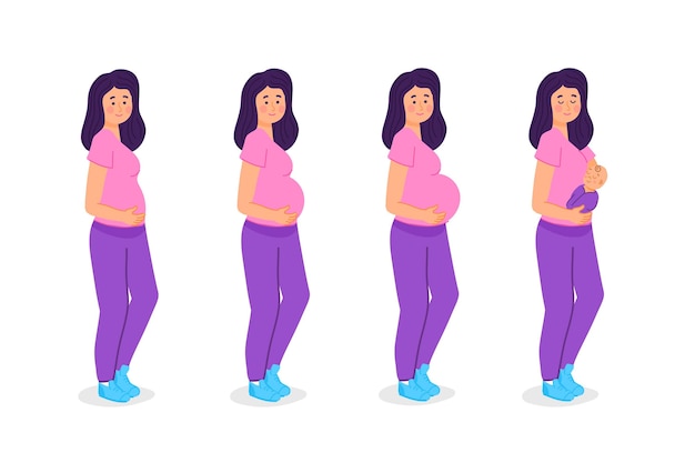 Pregnancy stages illustration concept