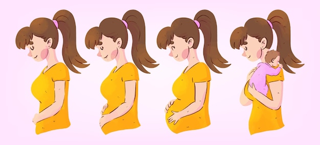 Pregnancy stages illustration concept