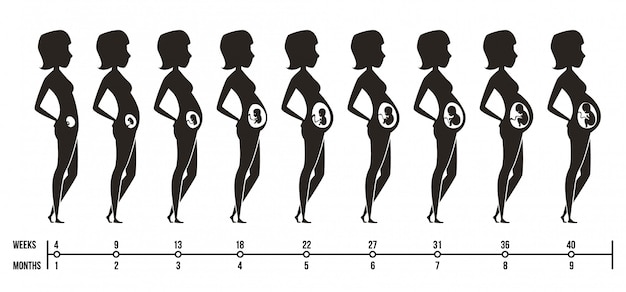 임신 단계. 신생아 여성 임신 임신 인포 그래픽 사진과 함께 행복한 엄마의 실루엣