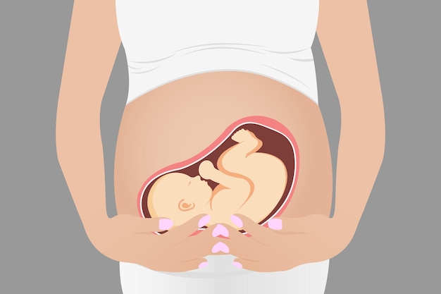 Pregnant woman, expectant mother hugging her belly with her hands