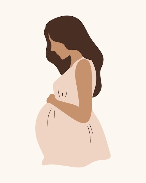 Vector pregnant woman illustration