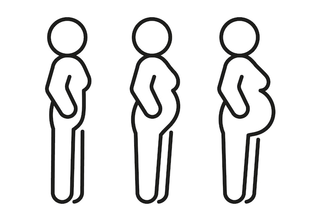 Vettore icona della linea della donna incinta periodo prenatale gravidanza maternità in attesa del segno lineare del bambino vettore
