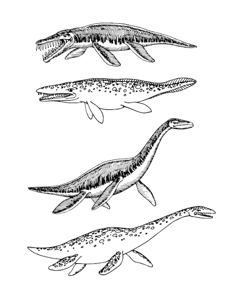 Prehistoric reptile of the jurassic period giant plesiosaurs and mesosaurus a marine raptor