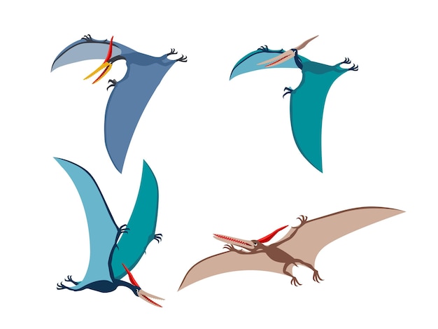 Pterodactyl or pteranodon. Flying prehistoric reptile vector illustration.  Stock Vector