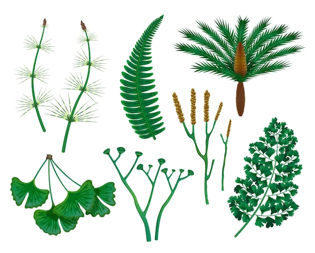 Vector prehistorische planten met geïsoleerde afbeeldingen van wilde kruiden uit de prehistorie op een lege achtergrond vectorillustratie