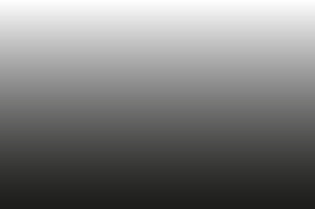 Vector premium background gradient black and white tones