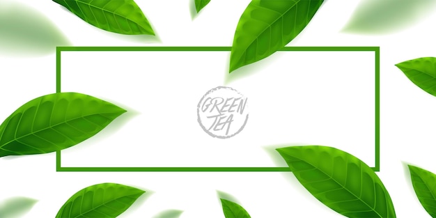 The premium green tea for good health vector illustration.