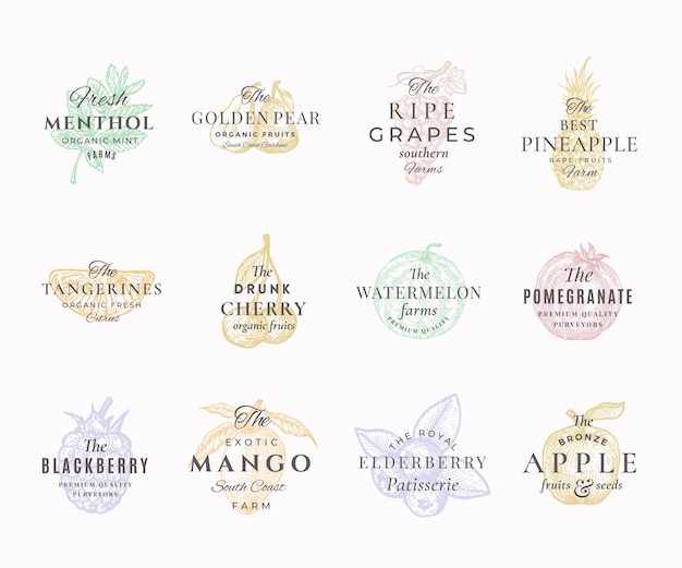 Vector premium qualituy fruits, berries and spices elegant labels set. abstract  signs, symbols or logo templates. hand drawn food sketches with retro typography. vintage emblems collection.