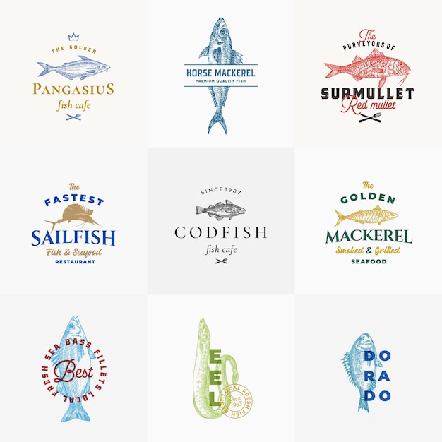 Collezione di modelli di logo di frutti di mare di qualità premium schizzi di pesce disegnati a mano