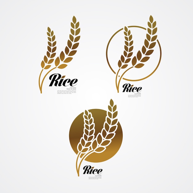 Premium Rice great quality design concept