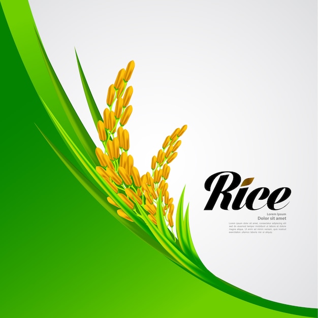 Premium rice design di grande qualità.