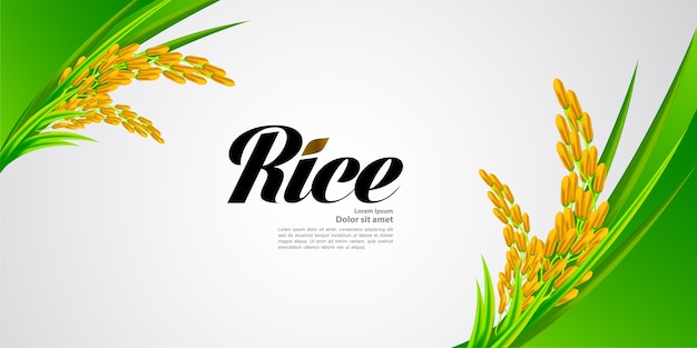 Premium rice great quality design.