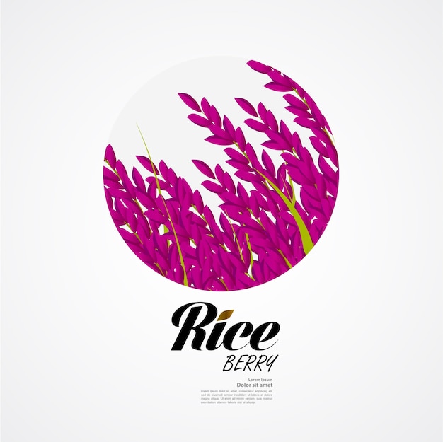 Premium rice ontwerpconcept van hoge kwaliteit