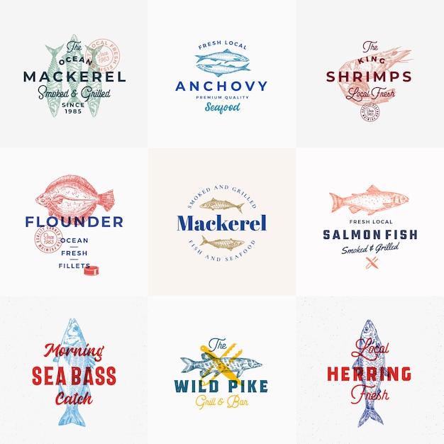 Premium seafood logo template set with hand drawn fishes