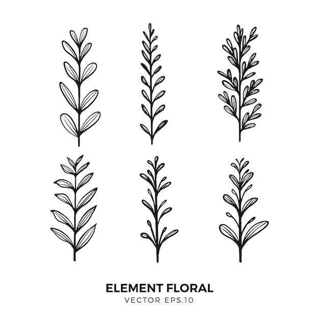 Premium vector element floral