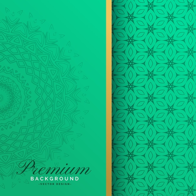 Premium vintage mandala pattern background