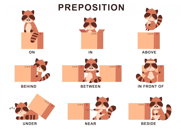 Preposition of place illustration with cute raccoon and box.   cartoon set isolated  .