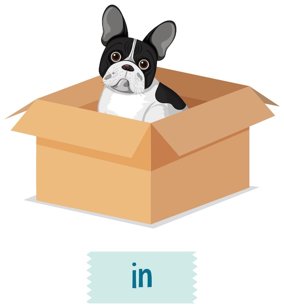 Prepostion-woordkaartontwerp met hond in doos