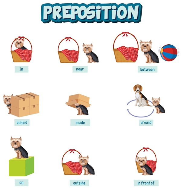 Vettore preposizione wordcard design con cani e cestino