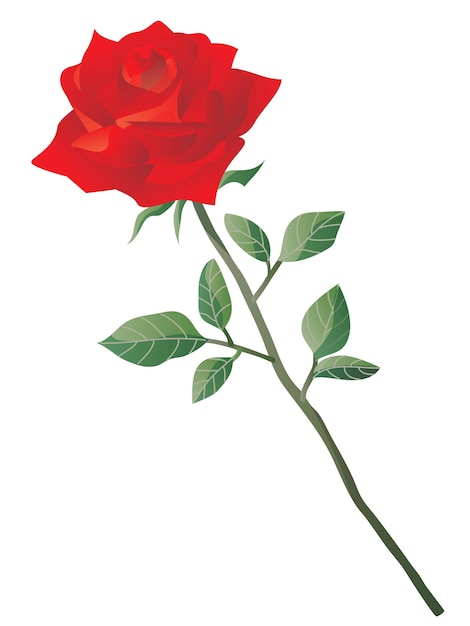 Vettore regalo di una rosa rossa