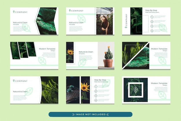 Presentation template design in pastel green with a modern, simple and professional style suitable for the use of eco green company presentations, botanical gardens, forest conservation campaigns.