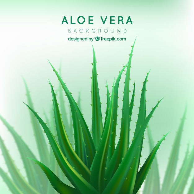 Vector pretty aloe vera background