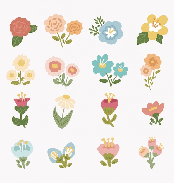 Vector pretty collection of flower floral flourish, illustration.